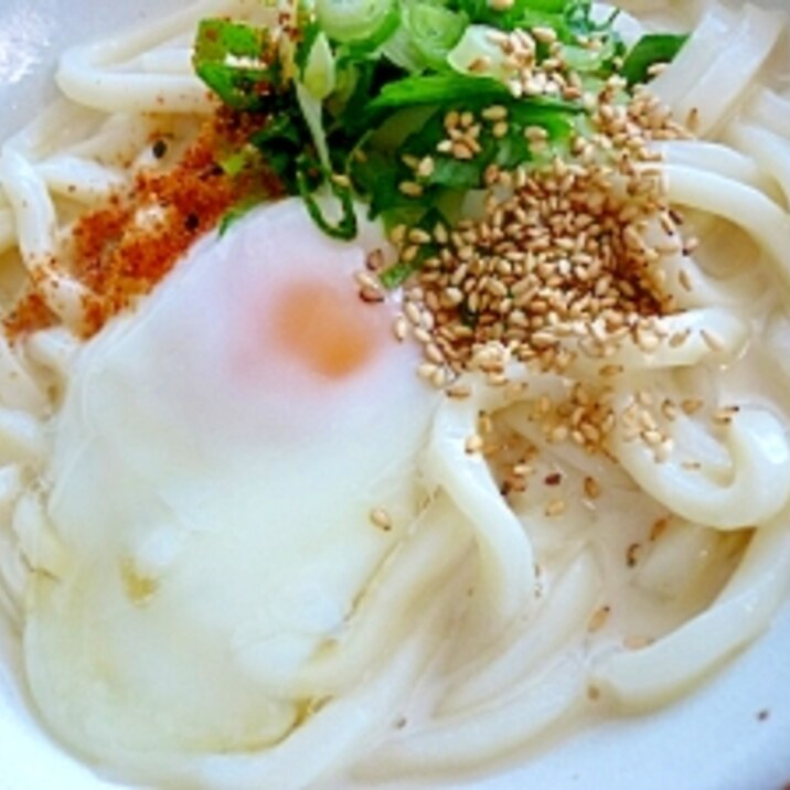 ひとりランチに～豆乳ぶっかけうどん＊＊